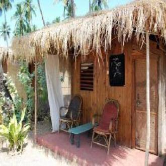 Stay Amongst Palm Trees Overlooking The Beach, Goa 2